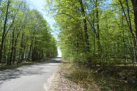 Quality wooded/hunting/building parcel Shawano County - image 46