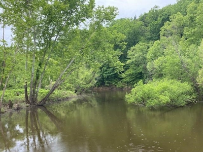 Building Site On Kerr Lake, VA - image 1