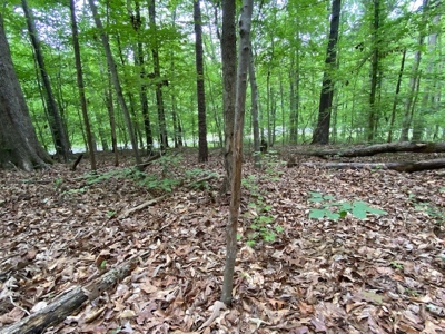 Building Site On Kerr Lake, VA - image 7