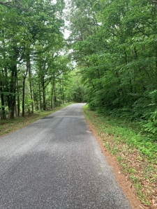 Building Site On Kerr Lake, VA - image 2
