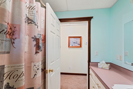 Country Home & Acreage On Blacktop  For Sale - image 29