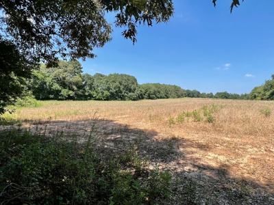 Homesite For Sale Near Enterprise Alabama- Geneva Co - image 10