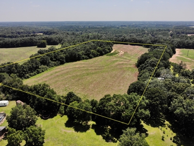 Homesite For Sale Near Enterprise Alabama- Geneva Co - image 13