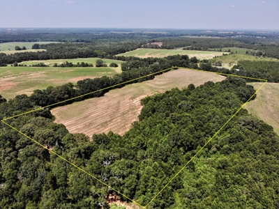 Homesite For Sale Near Enterprise Alabama- Geneva Co - image 5