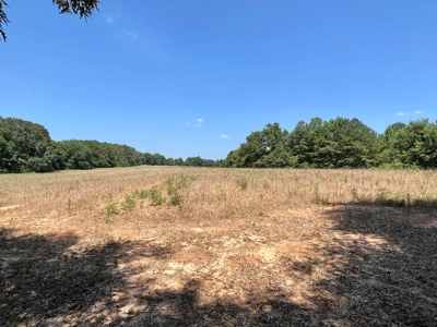 Homesite For Sale Near Enterprise Alabama- Geneva Co - image 2