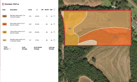 Homesite For Sale Near Enterprise Alabama- Geneva Co - image 15