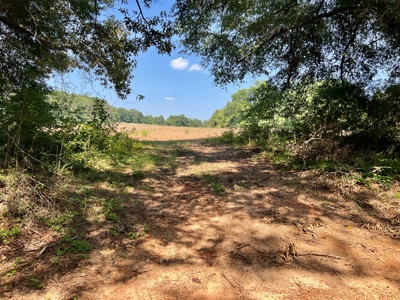 Homesite For Sale Near Enterprise Alabama- Geneva Co - image 9
