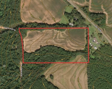 Homesite For Sale Near Enterprise Alabama- Geneva Co - image 4