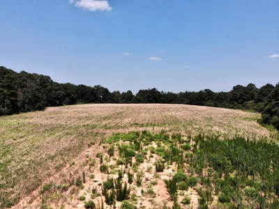 Homesite For Sale Near Enterprise Alabama- Geneva Co - image 11