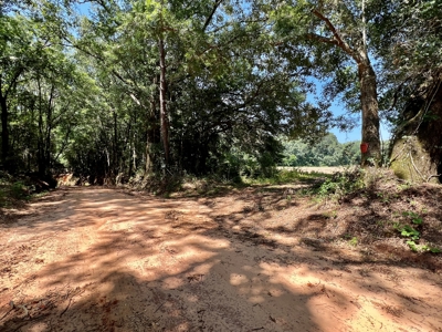 Homesite For Sale Near Enterprise Alabama- Geneva Co - image 3