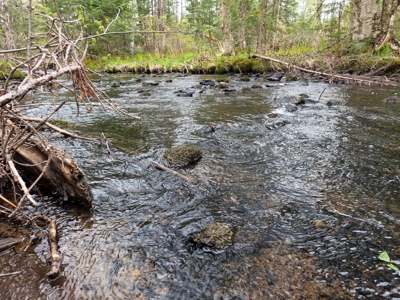 100+ Acres in Northern Maine - image 25