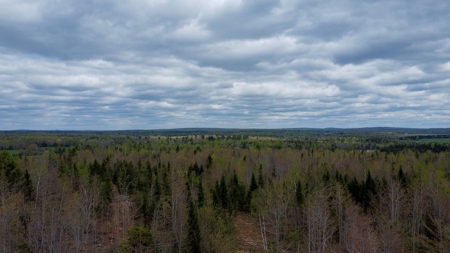 100+ Acres in Northern Maine - image 1