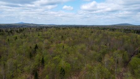 100+ Acres in Northern Maine - image 4