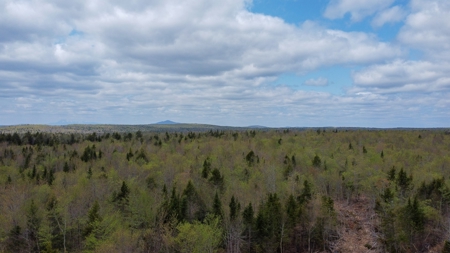 100+ Acres in Northern Maine - image 3