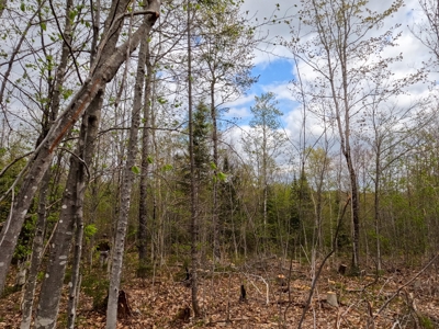 100+ Acres in Northern Maine - image 17