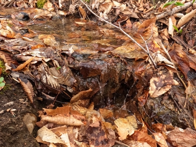 100+ Acres in Northern Maine - image 19