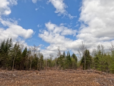 100+ Acres in Northern Maine - image 7