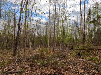 100+ Acres in Northern Maine - image 18