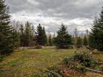 100+ Acres in Northern Maine - image 33
