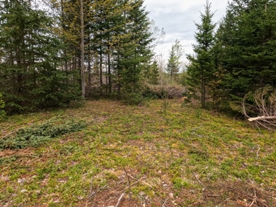 100+ Acres in Northern Maine - image 32