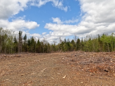 100+ Acres in Northern Maine - image 6