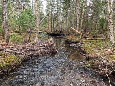 100+ Acres in Northern Maine - image 27