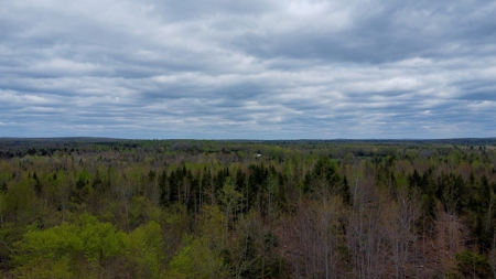 100+ Acres in Northern Maine - image 2
