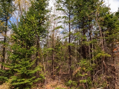 100+ Acres in Northern Maine - image 9