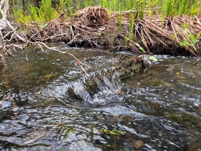 100+ Acres in Northern Maine - image 26