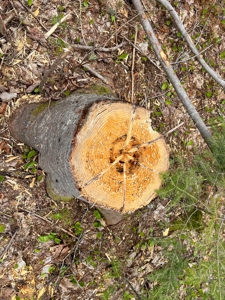 100+ Acres in Northern Maine - image 34