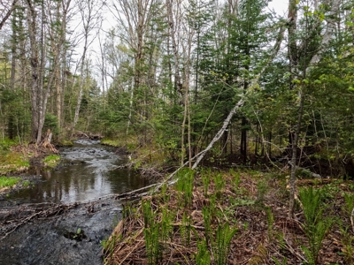 100+ Acres in Northern Maine - image 29