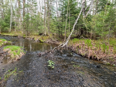 100+ Acres in Northern Maine - image 28