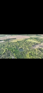 80 Acres Of Timberland In Selma Alabama - image 3