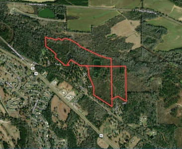 80 Acres Of Timberland In Selma Alabama - image 1