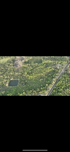 80 Acres Of Timberland In Selma Alabama - image 6