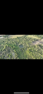 80 Acres Of Timberland In Selma Alabama - image 4