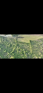 80 Acres Of Timberland In Selma Alabama - image 8