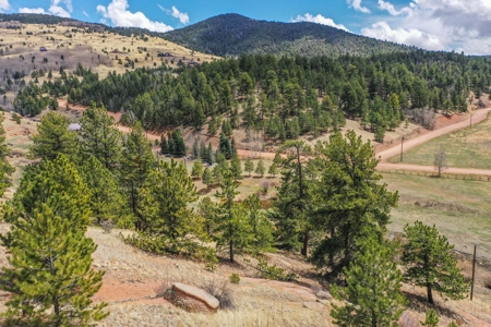 Beautiful Majestic Properties with Breathtaking Scenic Views - image 21