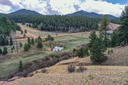 Beautiful Majestic Properties with Breathtaking Scenic Views - image 9