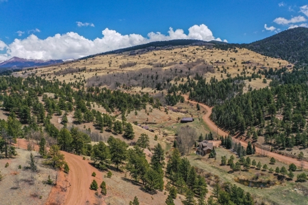 Beautiful Majestic Properties with Breathtaking Scenic Views - image 5