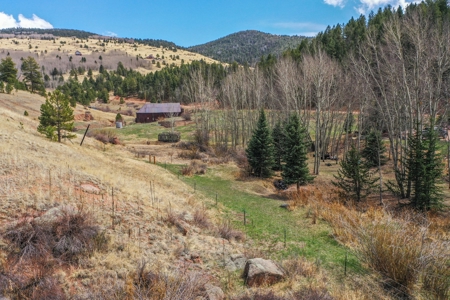 Beautiful Majestic Properties with Breathtaking Scenic Views - image 24