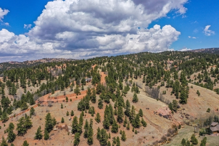 Beautiful Majestic Properties with Breathtaking Scenic Views - image 3