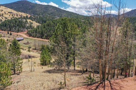 Beautiful Majestic Properties with Breathtaking Scenic Views - image 28