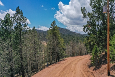 Beautiful Majestic Properties with Breathtaking Scenic Views - image 27