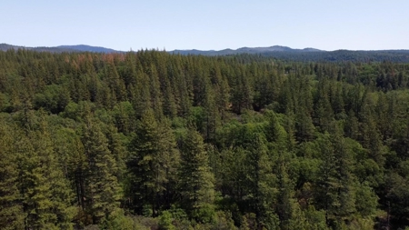El Dorado County, California Land For Sale - image 11