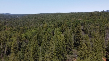 El Dorado County, California Land For Sale - image 15