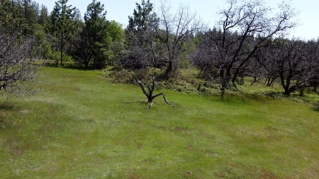 El Dorado County, California Land For Sale - image 10