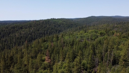 El Dorado County, California Land For Sale - image 14