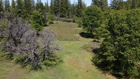 El Dorado County, California Land For Sale - image 7