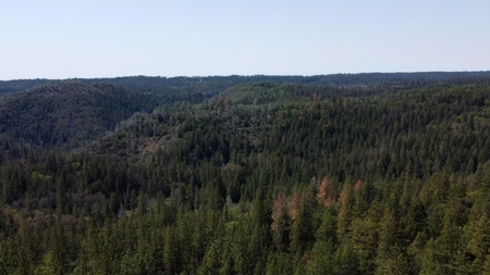 El Dorado County, California Land For Sale - image 13